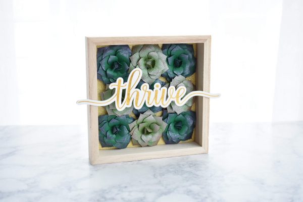 Paper Succulent Shadow Box